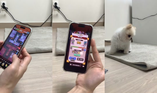 mango_noona2's Live Session — Jul 31, 2026, 4:41 AM
