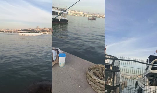 melek.y.44's Live Session — Oct 20, 2026, 1:37 PM