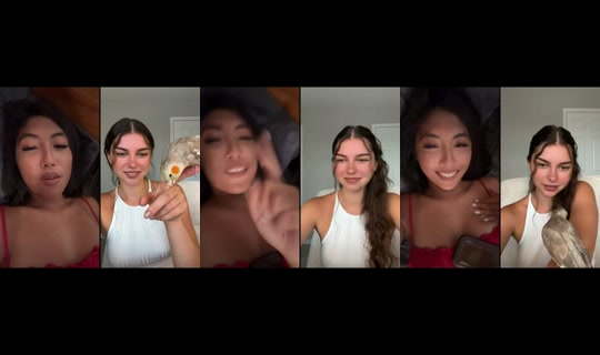 mesty.wave's Live Session — Jul 15, 2026, 2:48 AM