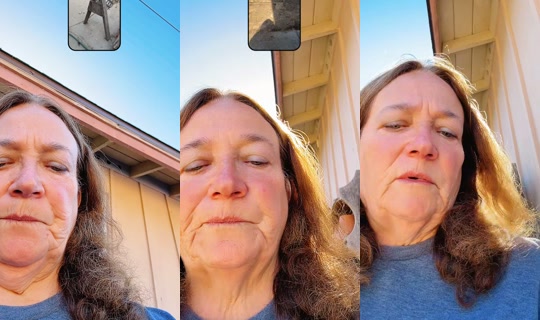 micheletorres221's Live Session — Oct 13, 2026, 10:22 PM