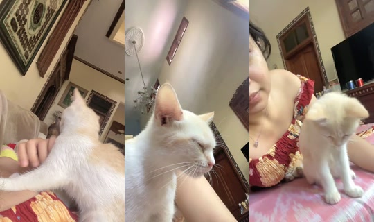 michellelauraaaa's Live Session — Sep 23, 2026, 3:47 AM