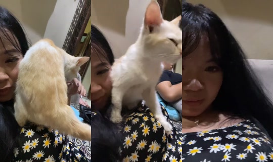 michellelauraaaa's Live Session — Oct 19, 2026, 3:07 PM