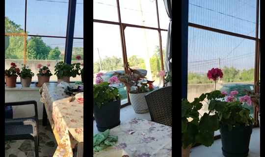 mihrimah3477's Live Session — Jul 19, 2026, 4:27 AM