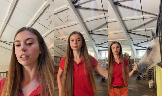 mirmirmur8's Live Session — Sep 21, 2026, 11:04 AM