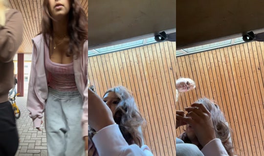moe.lester107's Live Session — Sep 17, 2026, 9:44 AM