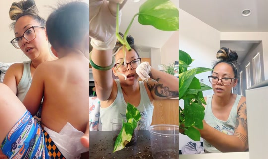 mommiechelsie's Live Session — Aug 5, 2026, 6:59 PM