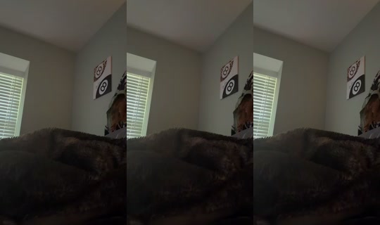 moneytlkju's Live Session — Aug 20, 2026, 4:32 PM