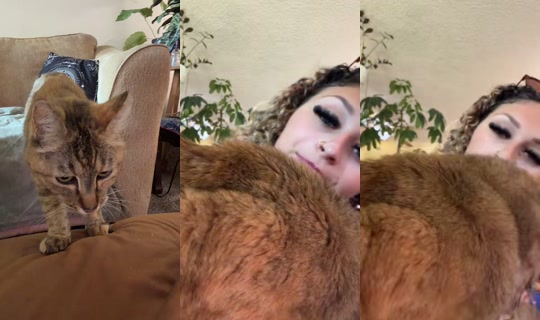 morgan.ec's Live Session — Jul 25, 2026, 9:08 PM
