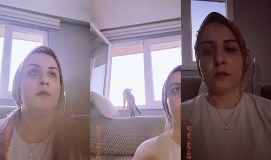 mryyy390's Live Session — Jul 19, 2026, 4:57 PM