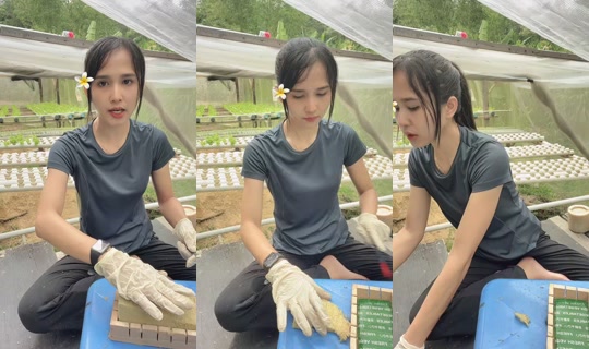namaku_ve's Live Session — Sep 19, 2026, 1:29 AM