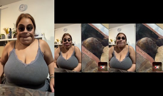 naweldu02's Live Session — Sep 13, 2026, 3:46 AM