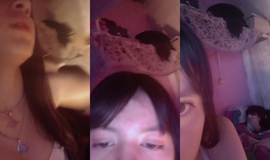 nicoleeesaucedo's Live Session — Sep 21, 2026, 7:41 AM
