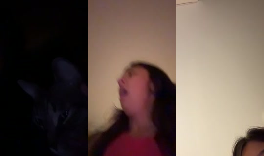 ninamcleroy's Live Session — Oct 20, 2026, 2:31 AM