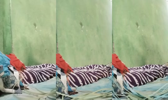 nona05manisgelisah2's Live Session — Sep 4, 2026, 8:18 AM
