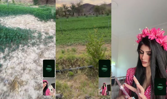 noonis33's Live Session — Jul 27, 2026, 2:55 AM