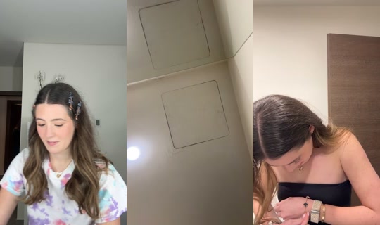 notpetu's Live Session — Oct 17, 2026, 5:31 AM
