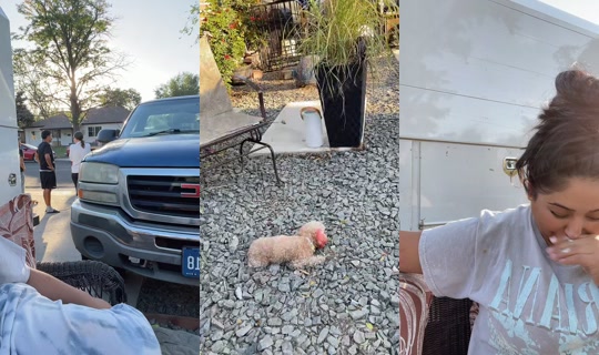 nova__nobu's Live Session — Sep 10, 2026, 12:19 AM