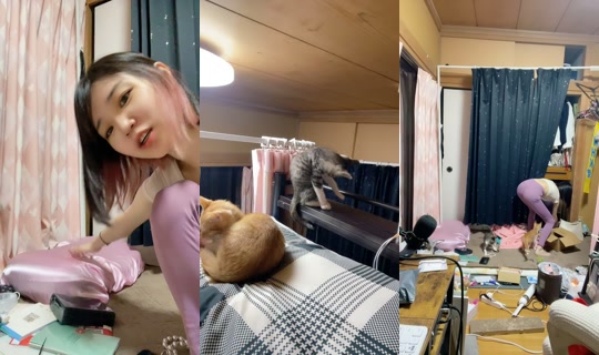 nyanchanuniverse's Live Session — Jul 8, 2026, 11:09 AM