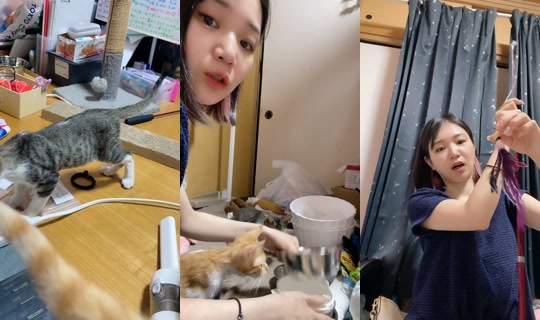 nyanchanuniverse's Live Session — Jul 9, 2026, 10:54 AM