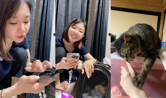nyanchanuniverse's Live Session — Jul 9, 2026, 11:45 AM