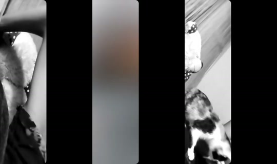 nyopo75's Live Session — Jul 27, 2026, 2:16 PM