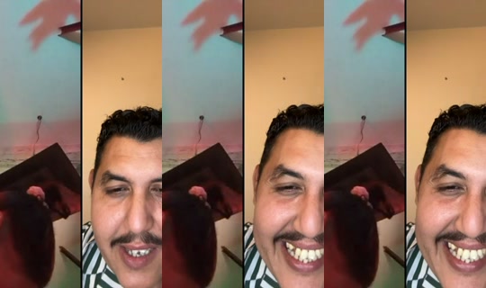 oliviateammomoshark's Live Session — Aug 19, 2026, 11:16 PM
