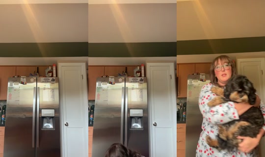 oopitssillygoose's Live Session — Jul 27, 2026, 8:58 PM