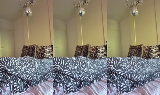 orchideaaaaa3's Live Session — Sep 6, 2026, 5:14 AM