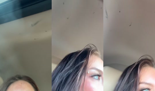 p.ickels's Live Session — Aug 1, 2026, 12:39 PM