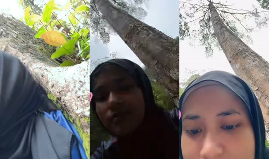 p4tinnn_'s Live Session — Oct 22, 2026, 5:52 AM