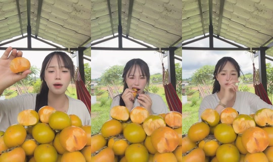 p_panx7's Live Session — Jul 26, 2026, 4:05 AM