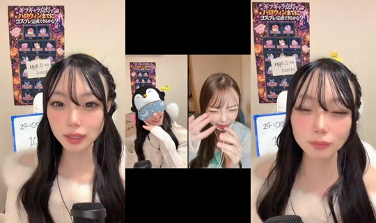 palmutabeyo's Live Session — Oct 29, 2026, 11:31 AM