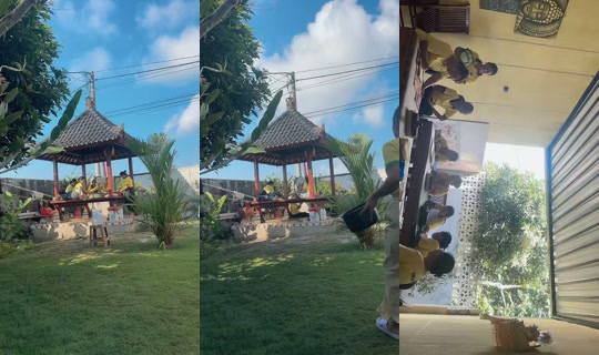 pandan.healing.sp's Live Session — Aug 21, 2026, 12:53 AM