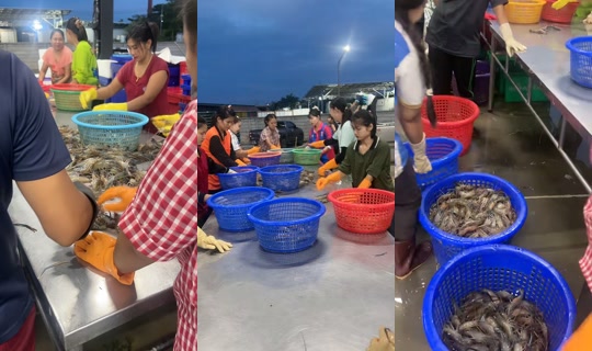 patseafoodmahachai's Live Session — Jul 22, 2026, 10:50 PM