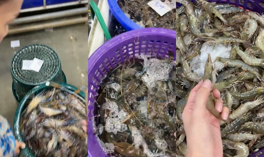 patseafoodmahachai's Live Session — Jul 24, 2026, 10:46 PM