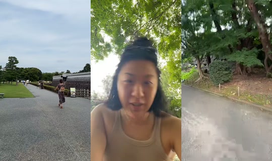 pekoneko's Live Session — Jul 31, 2026, 7:52 AM