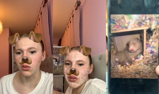 pheebs785's Live Session — Aug 15, 2026, 11:33 PM