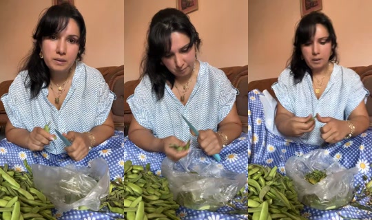 pinar_gibi's Live Session — Jul 29, 2026, 2:52 PM
