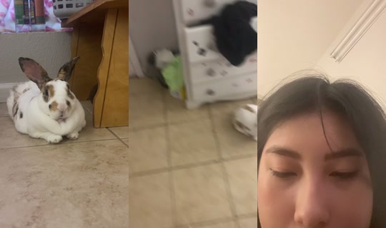 pixie.housewife's Live Session — Oct 8, 2026, 11:02 PM