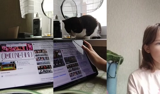pizzame0_0's Live Session — Jul 28, 2026, 8:49 AM