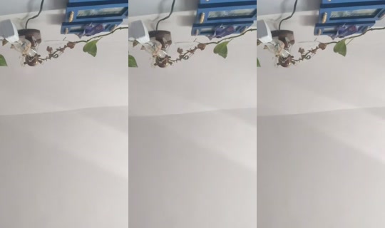 po.polowemu's Live Session — Jul 26, 2026, 1:16 PM