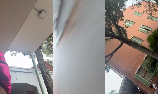 princessdollex3's Live Session — Aug 18, 2026, 12:42 PM