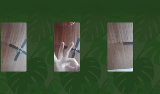 prinsen.av.torstr's Live Session — Jul 24, 2026, 6:18 PM