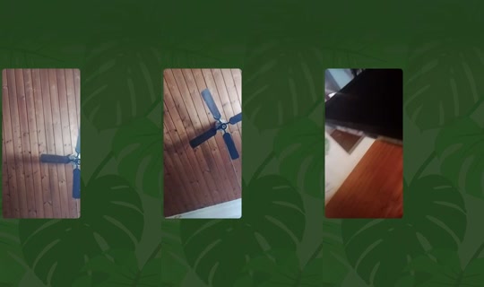 prinsen.av.torstr's Live Session — Jul 26, 2026, 12:38 PM