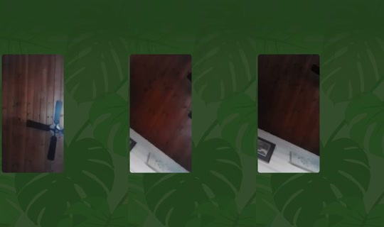 prinsen.av.torstr's Live Session — Jul 26, 2026, 7:43 PM