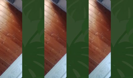 prinsen.av.torstr's Live Session — Jul 28, 2026, 7:53 AM