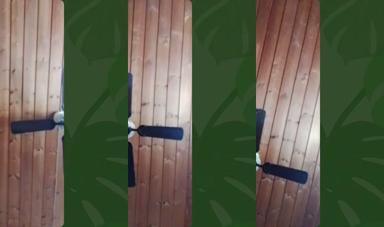 prinsen.av.torstr's Live Session — Jul 29, 2026, 12:33 PM