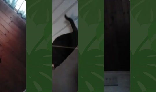 prinsen.av.torstr's Live Session — Jul 29, 2026, 7:09 PM