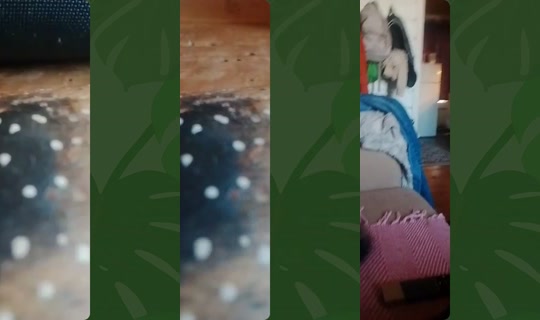 prinsen.av.torstr's Live Session — Jul 31, 2026, 10:56 AM