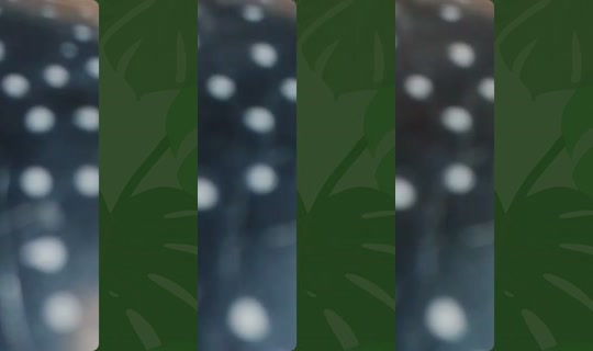 prinsen.av.torstr's Live Session — Jul 31, 2026, 5:03 PM